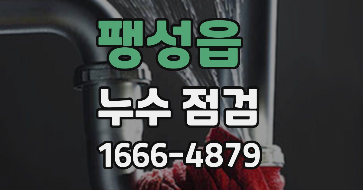 팽성읍 누수 점검