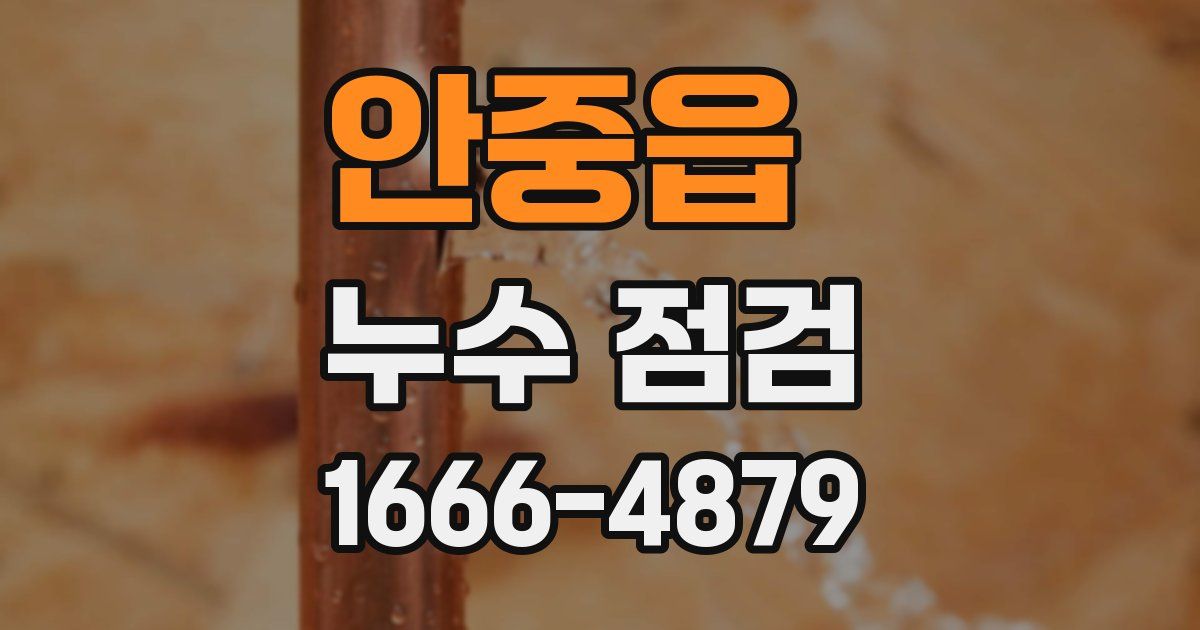 안중읍 누수 점검
