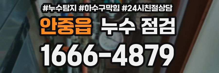 안중읍 누수 점검