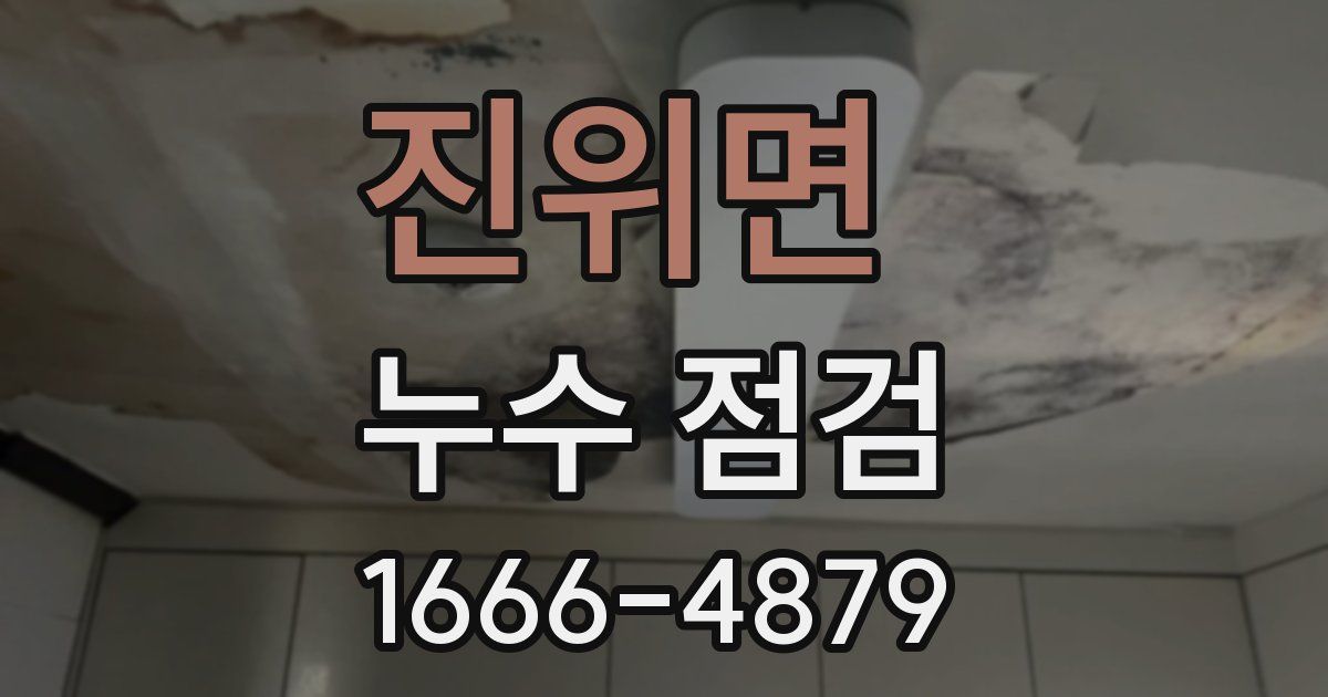 진위면 누수 점검