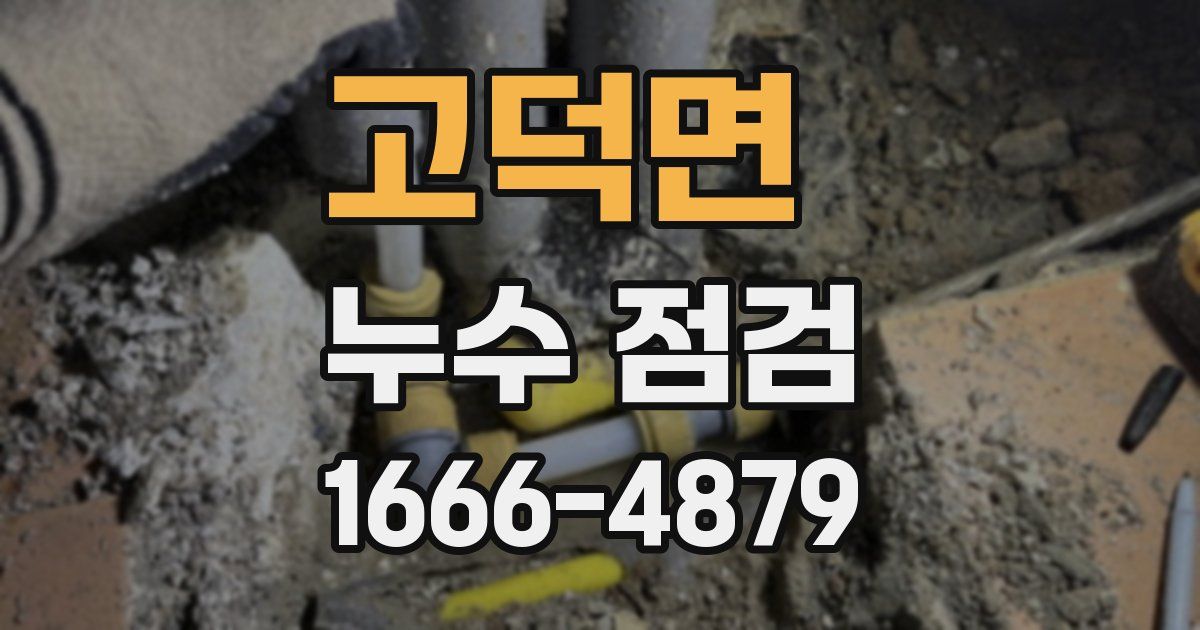고덕면 누수 점검