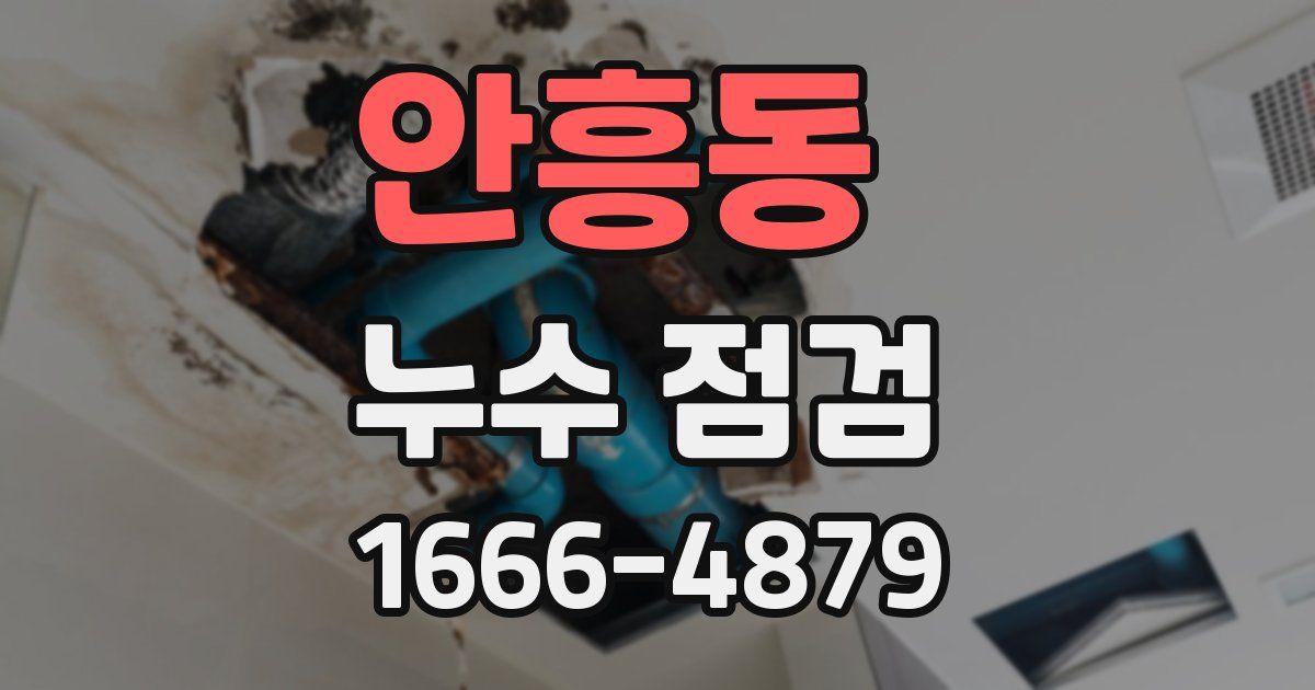 안흥동 누수 점검