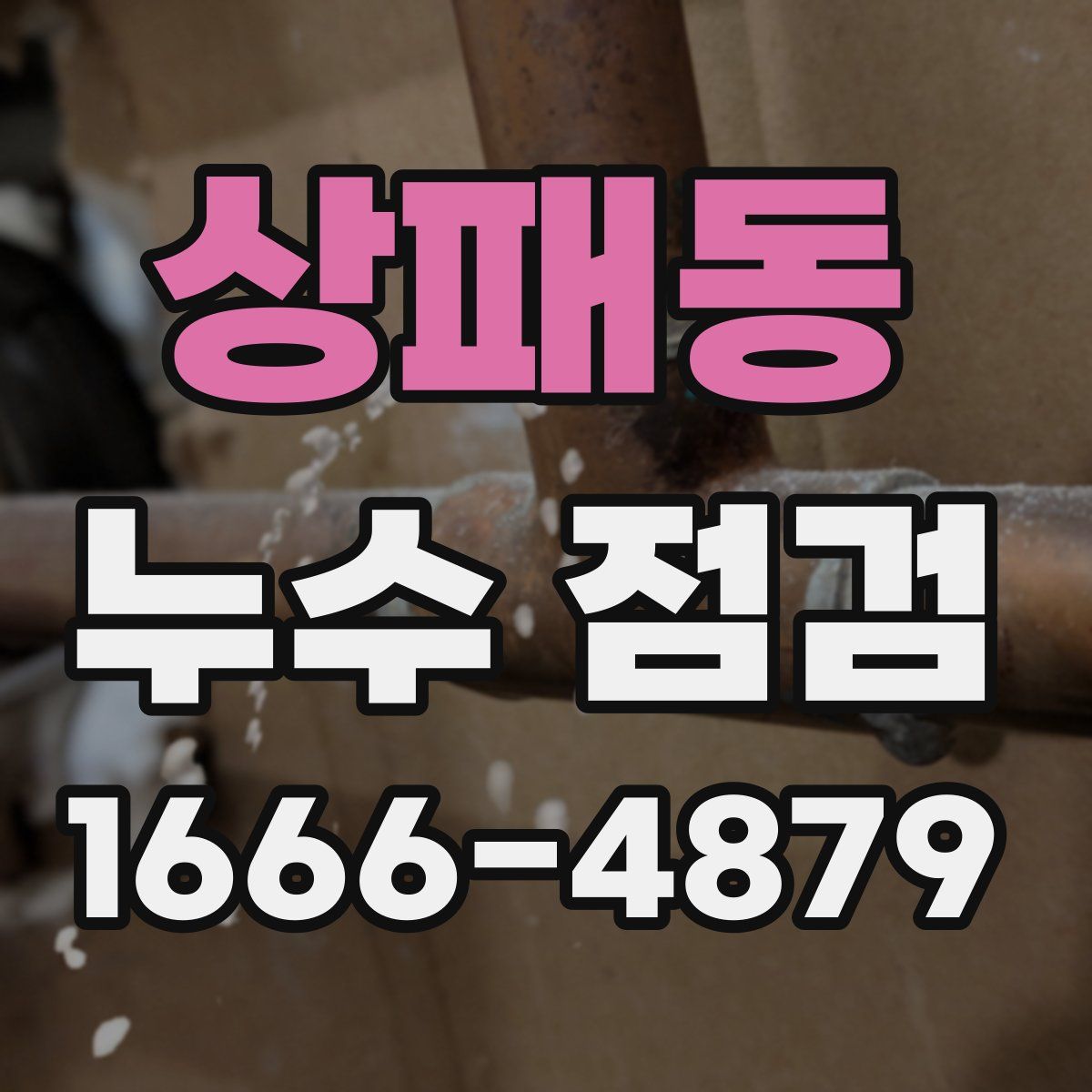 상패동 누수 점검