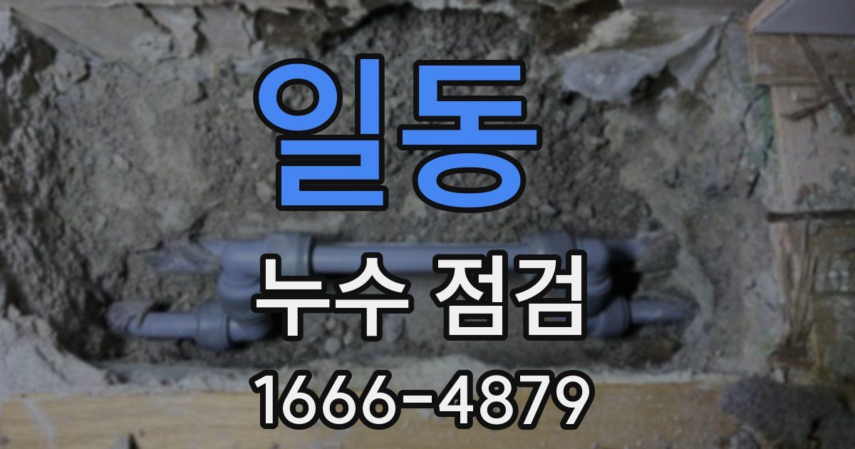 일동 누수 점검