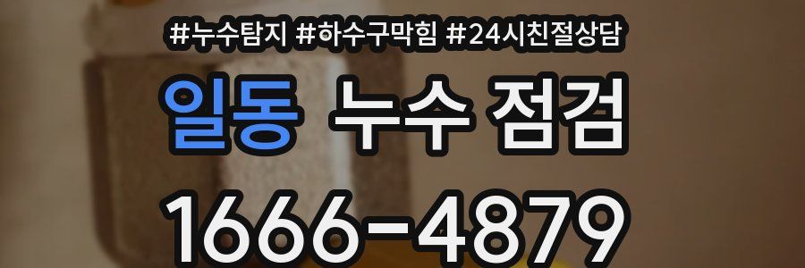 일동 누수 점검