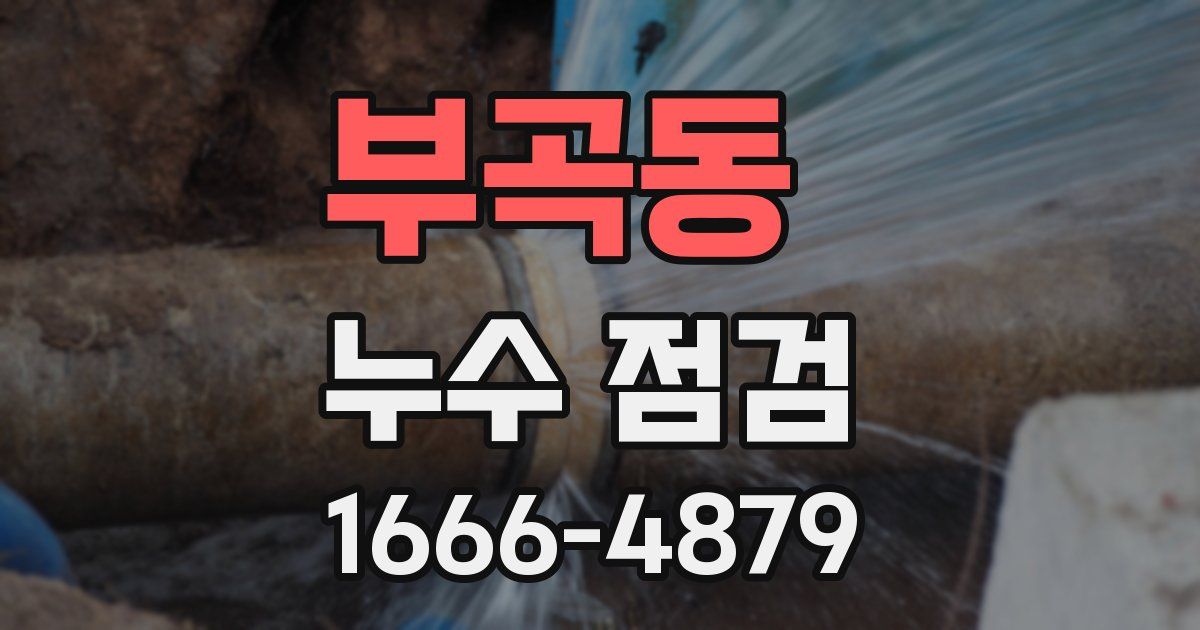 부곡동 누수 점검