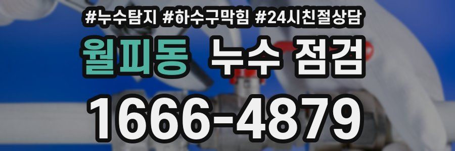 월피동 누수 점검