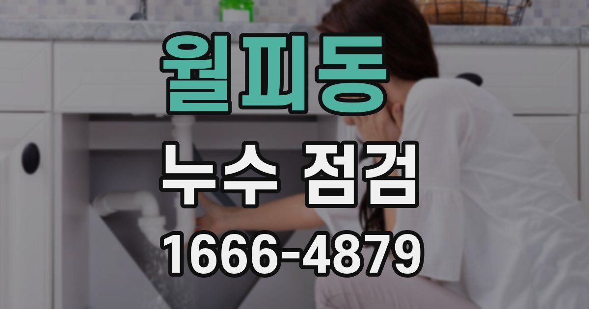 월피동 누수 점검