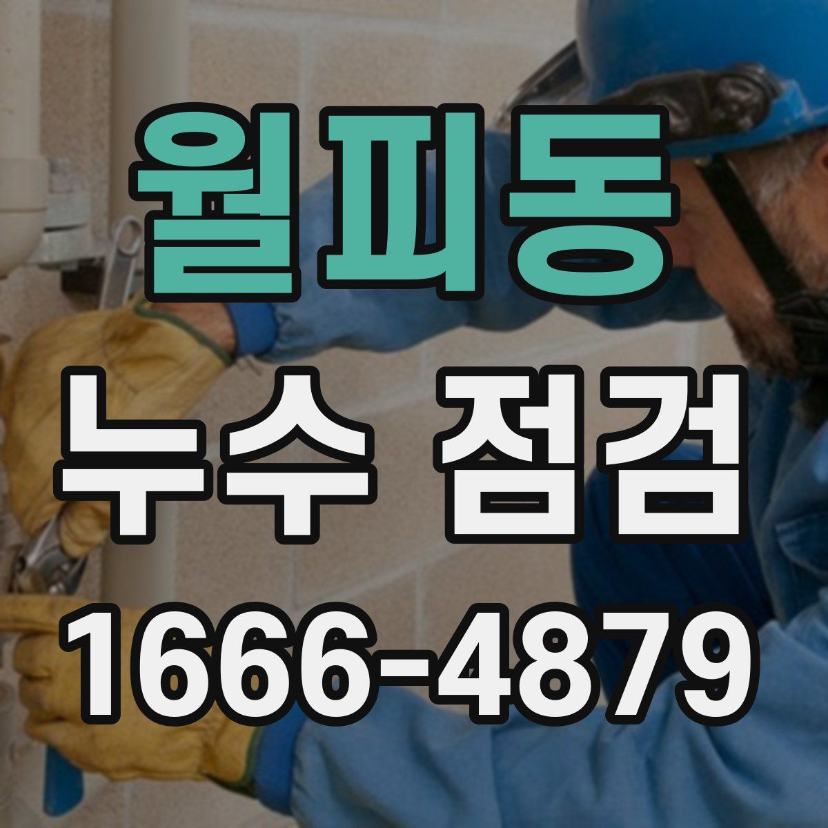 월피동 누수 점검