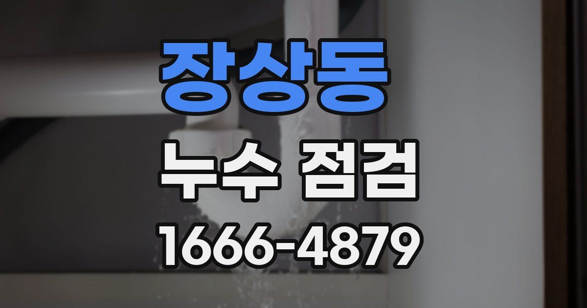 장상동 누수 점검
