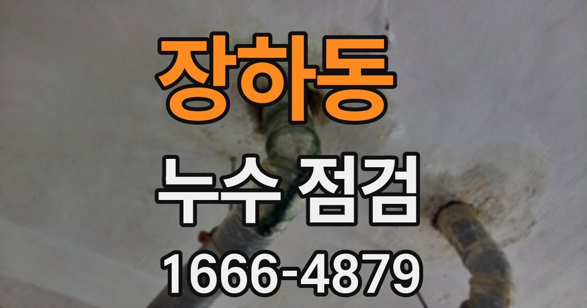 장하동 누수 점검