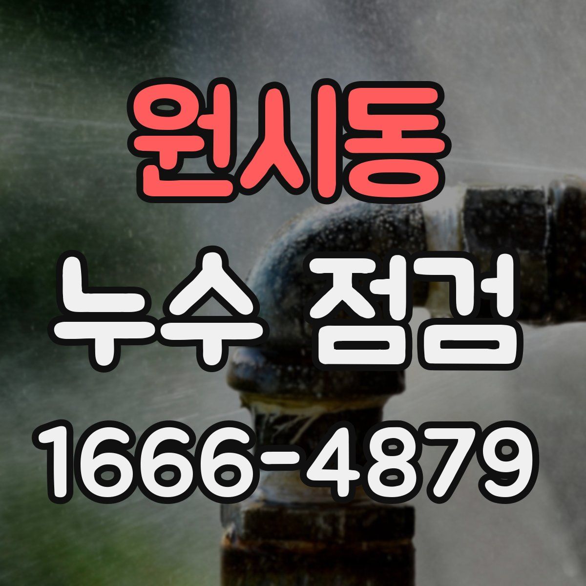 원시동 누수 점검