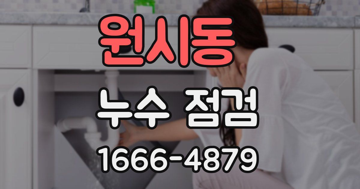 원시동 누수 점검