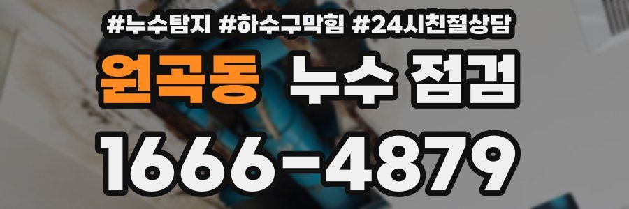 원곡동 누수 점검