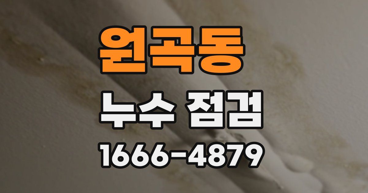 원곡동 누수 점검