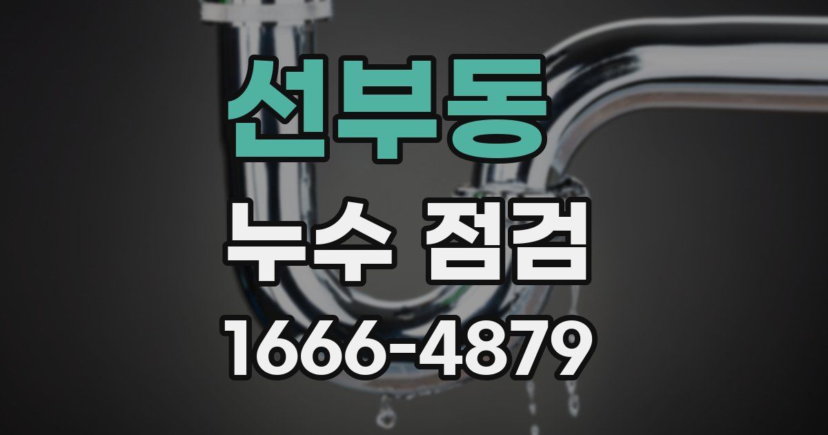 선부동 누수 점검