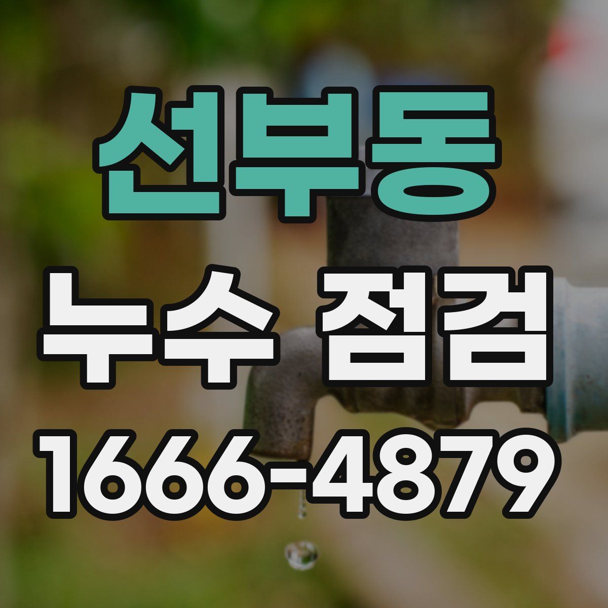 선부동 누수 점검
