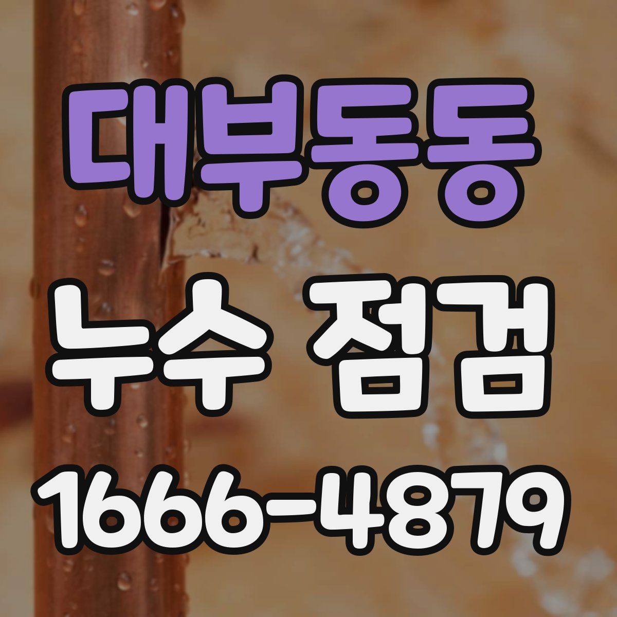 대부동동 누수 점검