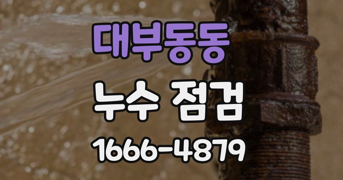 대부동동 누수 점검