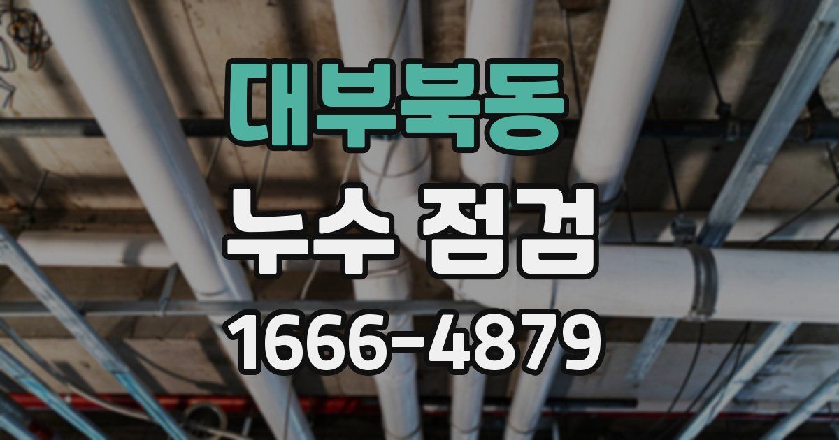 대부북동 누수 점검