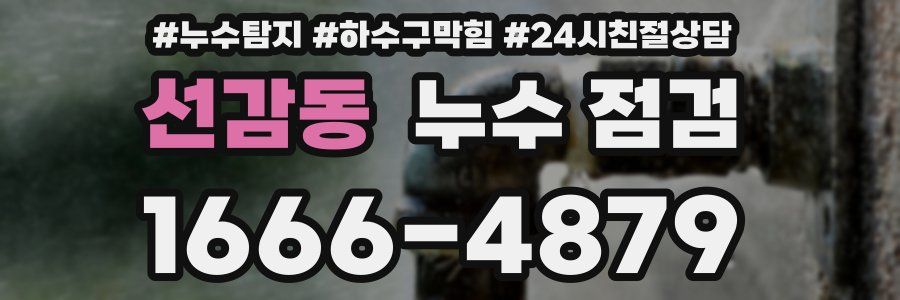 선감동 누수 점검