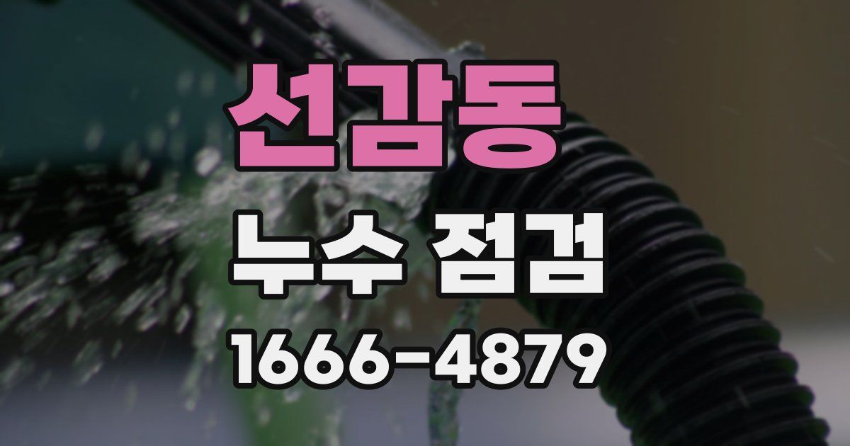 선감동 누수 점검