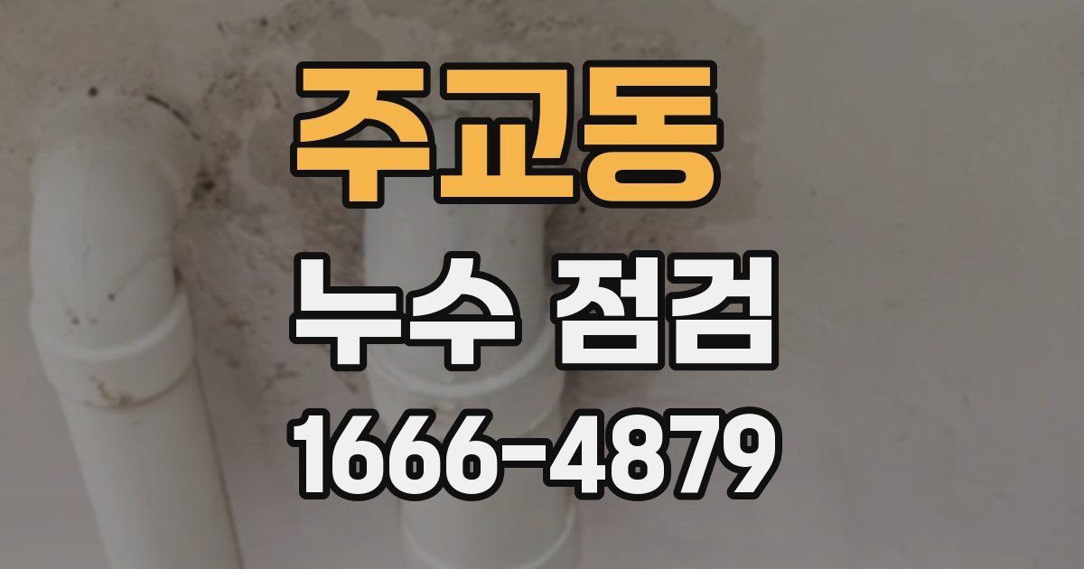 주교동 누수 점검