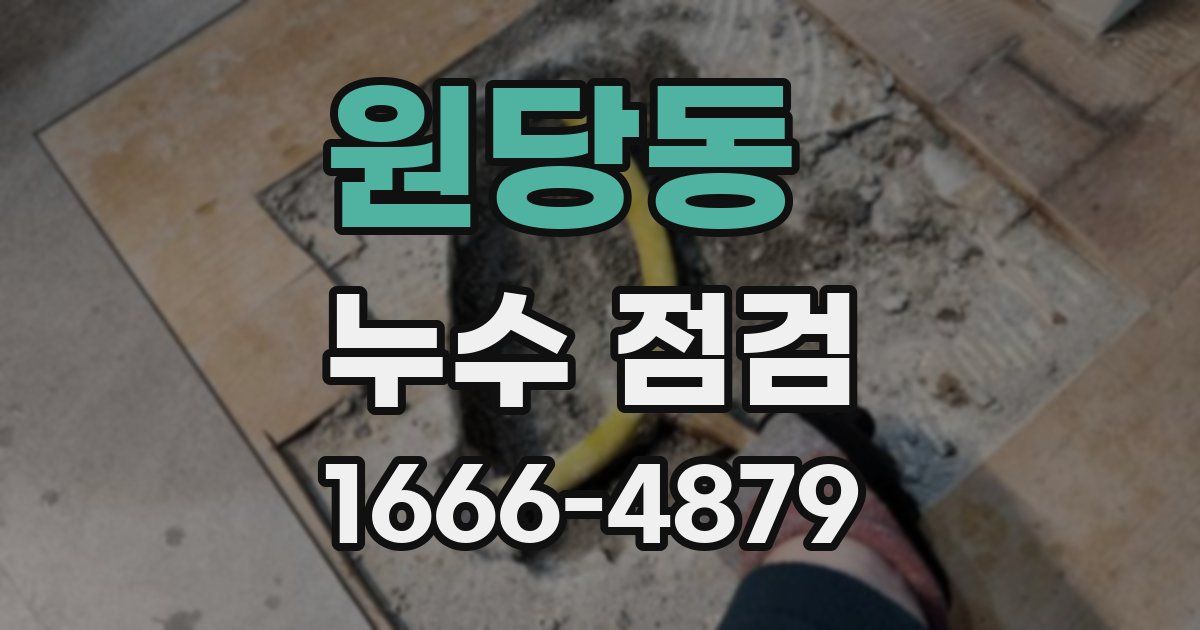 원당동 누수 점검