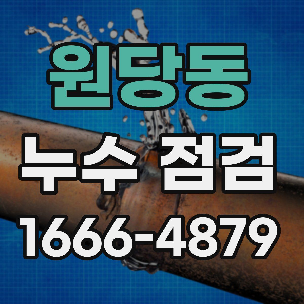 원당동 누수 점검