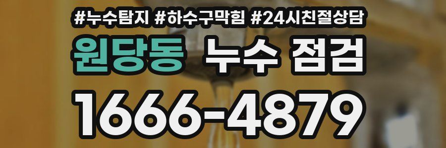 원당동 누수 점검