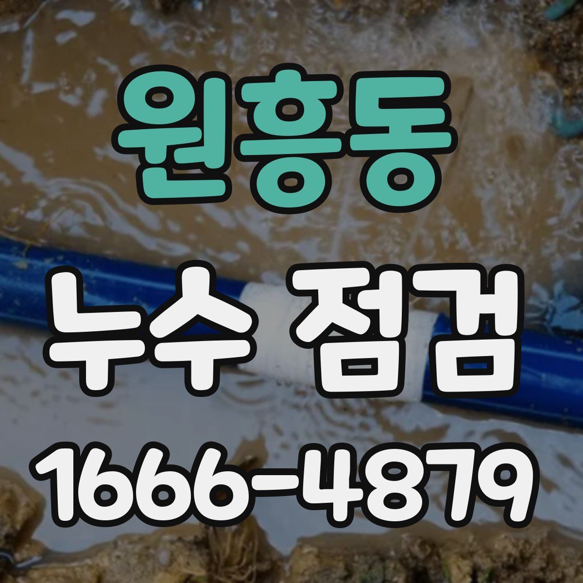 원흥동 누수 점검