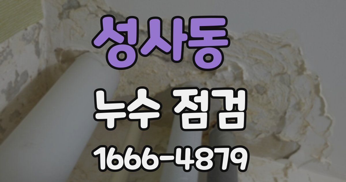 성사동 누수 점검