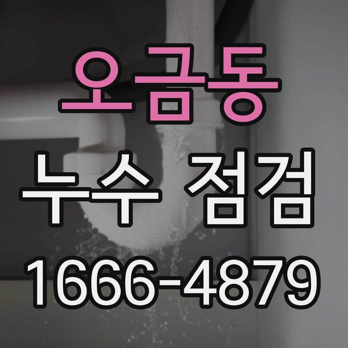 오금동 누수 점검