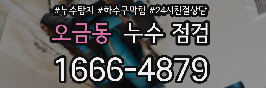 오금동 누수 점검