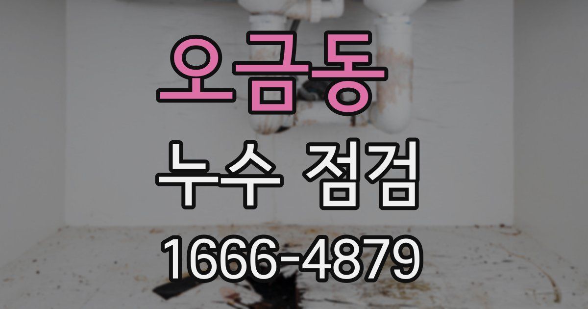 오금동 누수 점검