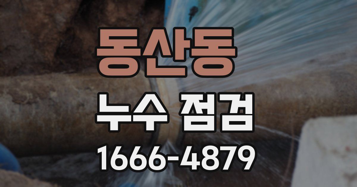 동산동 누수 점검