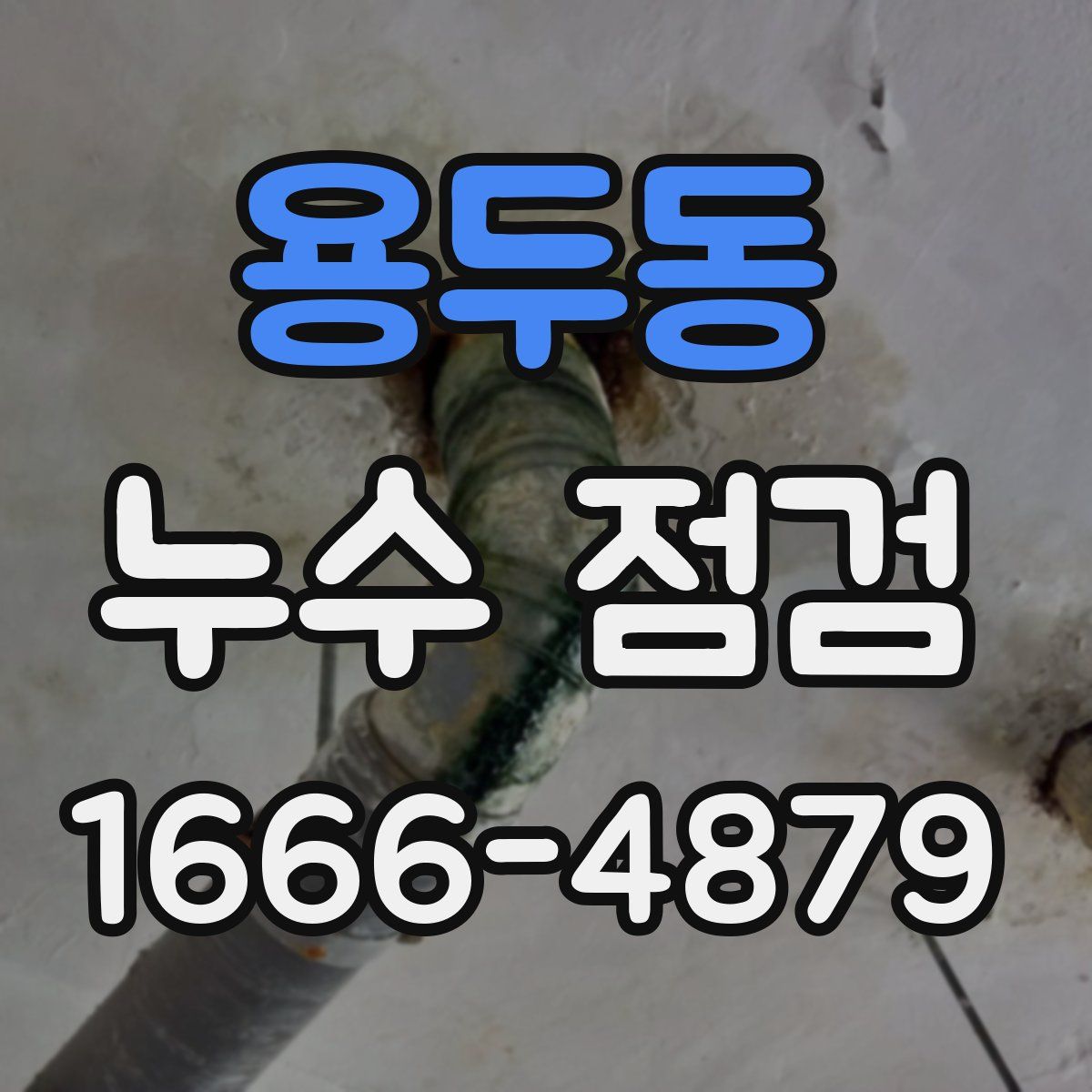 용두동 누수 점검