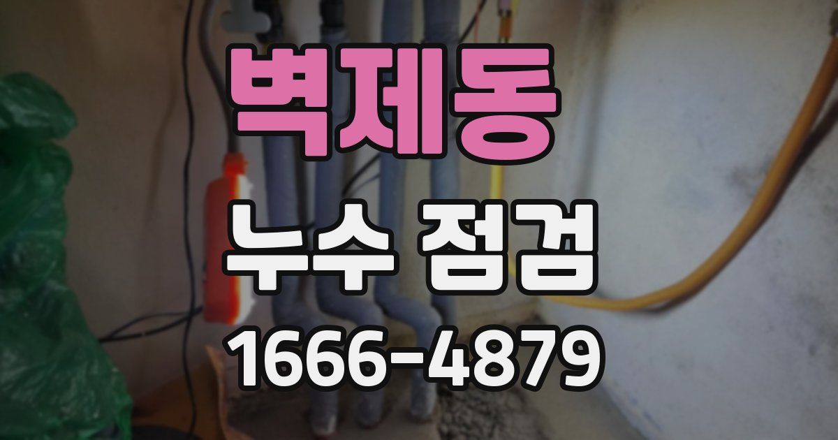 벽제동 누수 점검