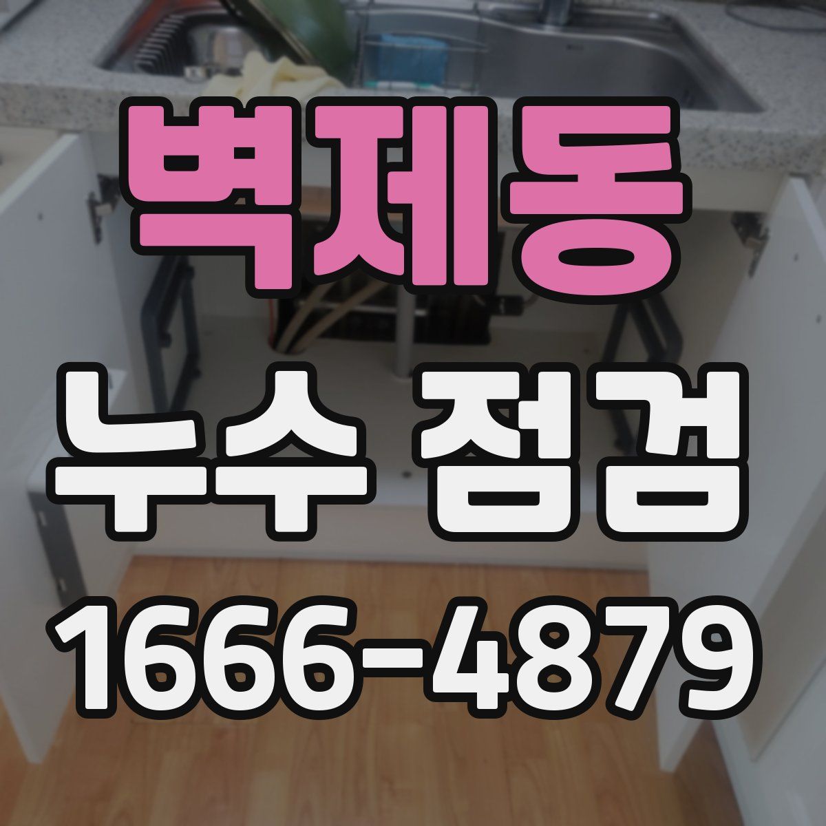 벽제동 누수 점검