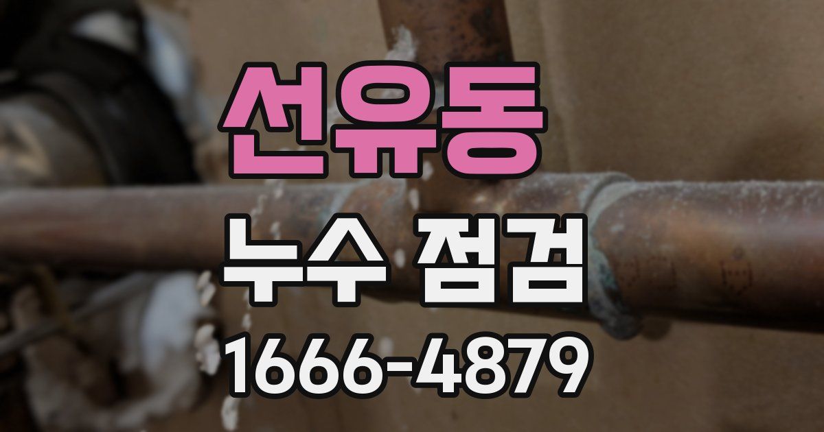 선유동 누수 점검