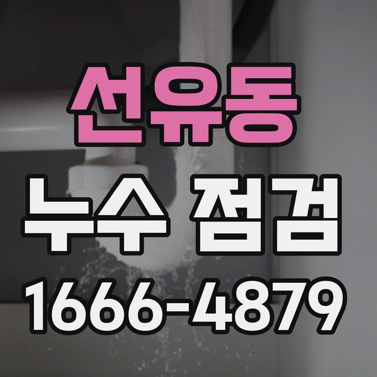 선유동 누수 점검