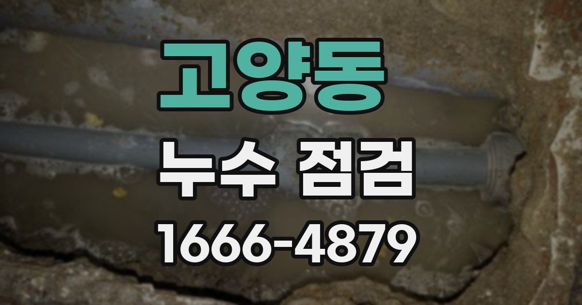 고양동 누수 점검