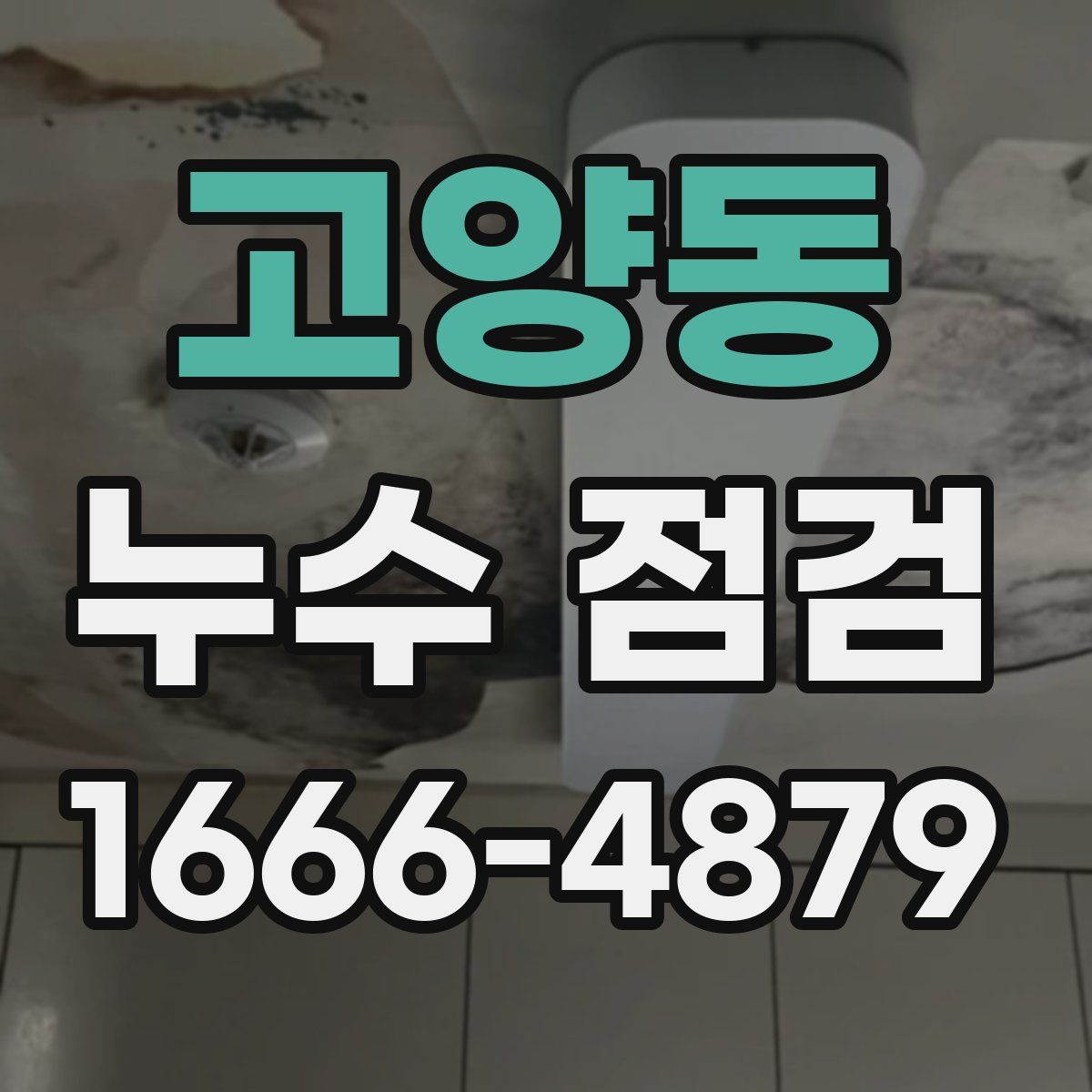 고양동 누수 점검