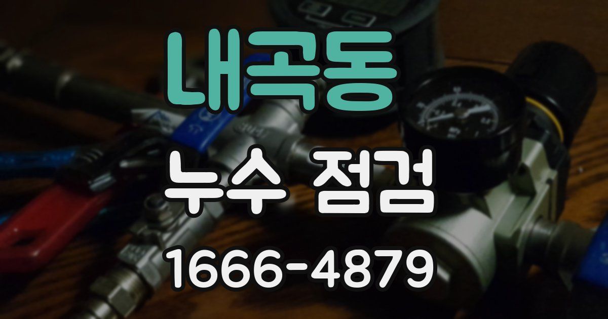 내곡동 누수 점검