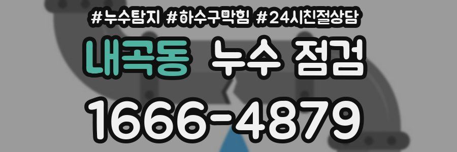 내곡동 누수 점검