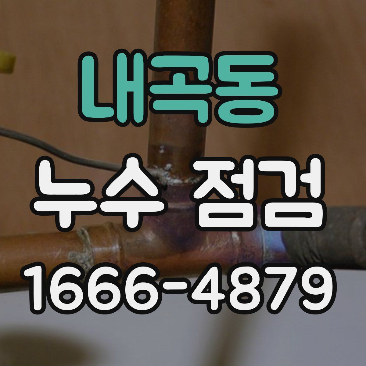 내곡동 누수 점검