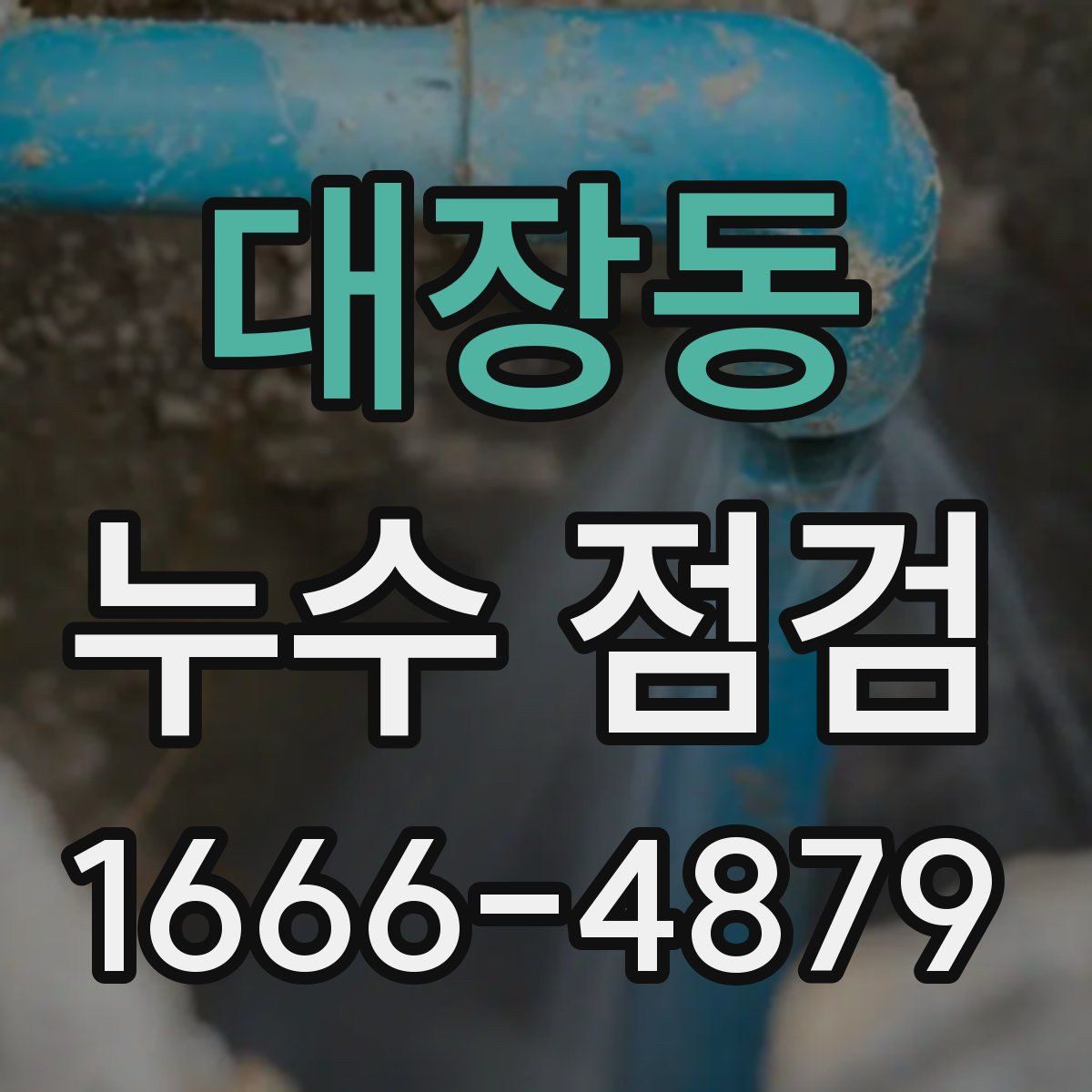 대장동 누수 점검