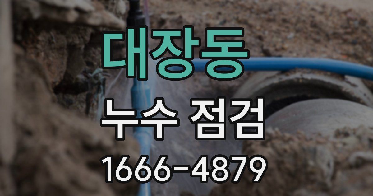 대장동 누수 점검
