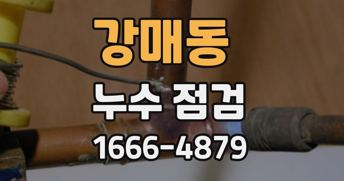 강매동 누수 점검