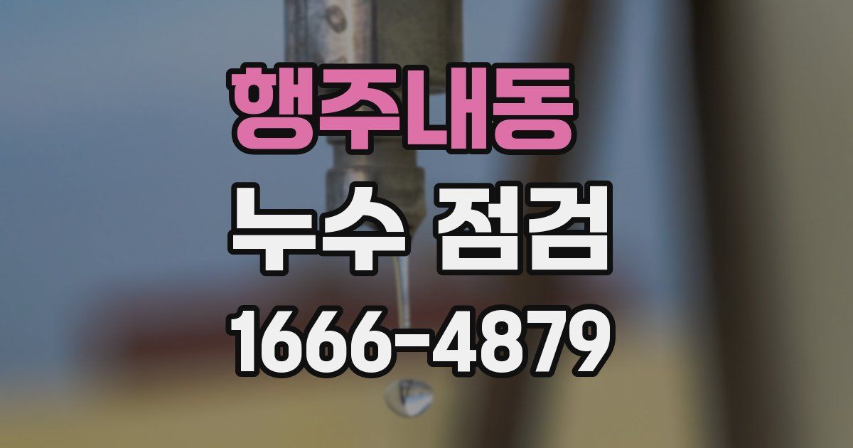 행주내동 누수 점검